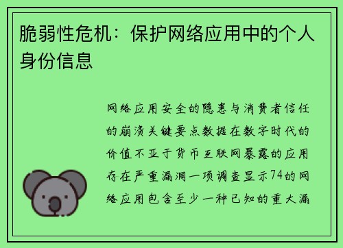 脆弱性危机：保护网络应用中的个人身份信息 