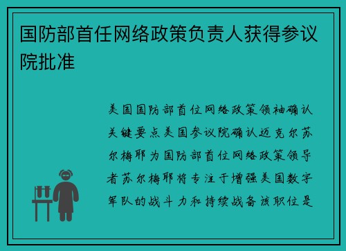 国防部首任网络政策负责人获得参议院批准 