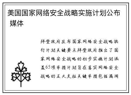 美国国家网络安全战略实施计划公布 媒体